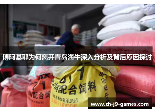 博阿基耶为何离开青岛海牛深入分析及背后原因探讨 博阿基耶为何离开青岛海牛深入分析及背后原因探讨